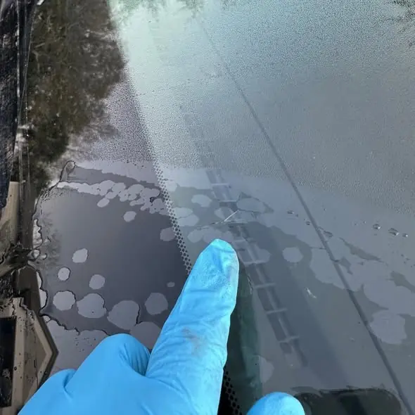 Technician in a blue glove pointing to damage on a cracked windshield before replacement